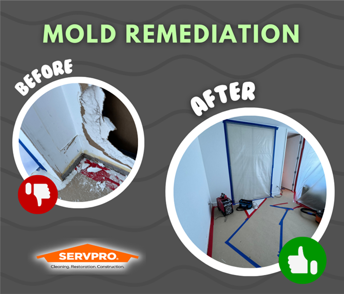 Picture of a Before and after of a mold remediation job