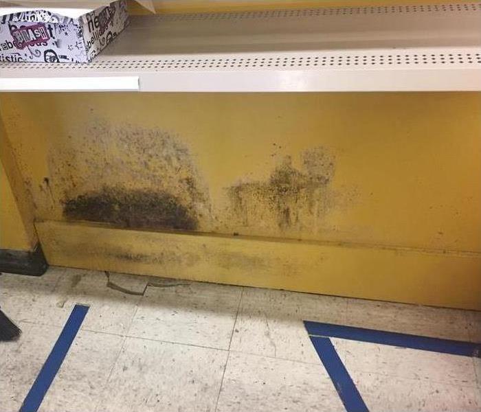 Mold growth on yellow wall of store room