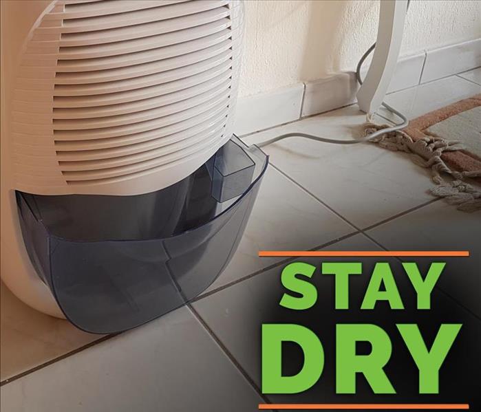Dehumidifier with the words STAY DRY