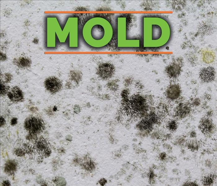 black dots of mold on white background with green text: MOLD