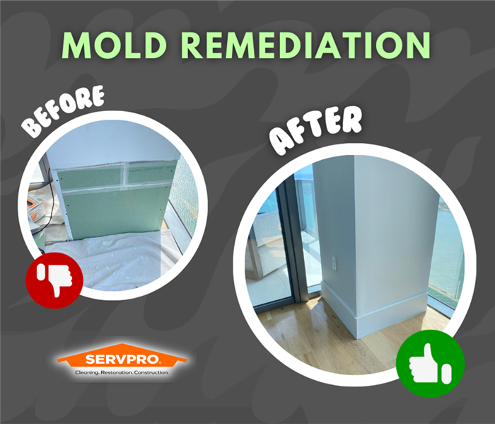 before and after photos of a mold remediation project